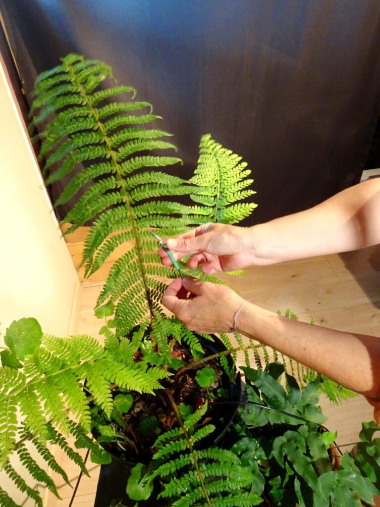 photo4jpg